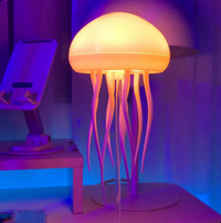 Jellyfish Lamp™